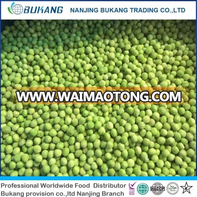 hot sale frozen green peas iqf pea wholesale best price