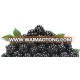 Georgia IQF Whole Frozen Blackberry