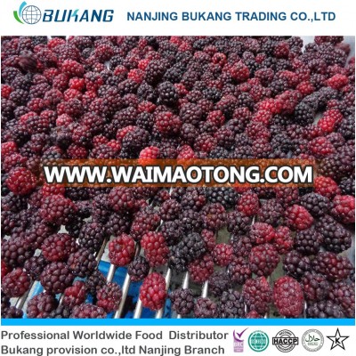 hot sale bulk IQF fruit frozen blackberry with 2018 good price