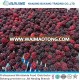 hot sale bulk IQF fruit frozen blackberry with 2018 good price