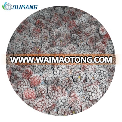 wholesale frozen fruit IQF blackberry with 2018 good price