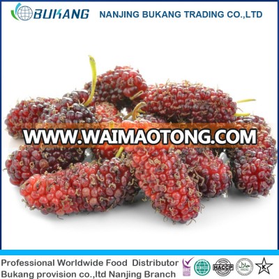 hot sale frozen fruit IQF mulberry chinese supplier and good price