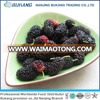 delicious frozen fruit IQF frozen mulberry with 2018 good price