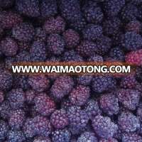 Frozen Wholesale Blackberrybulk frozen blackberries for sale