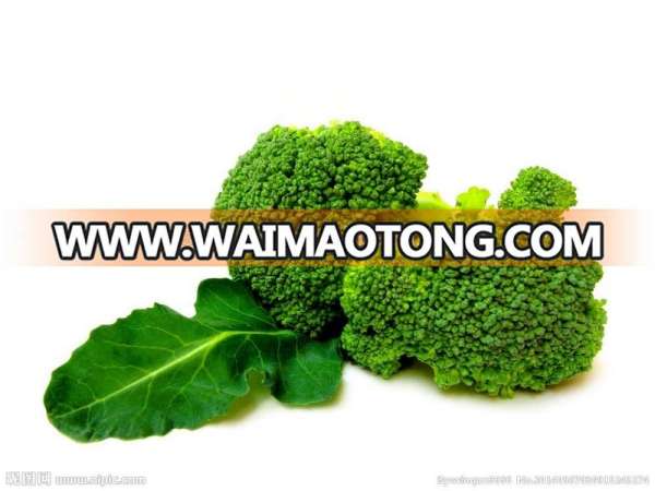 broccoli price/frozen broccoli/fresh broccoli from China