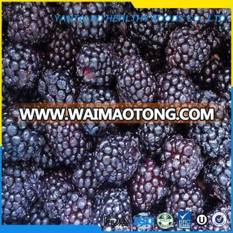 IQF Blackberry for sell in bulk